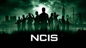 Besetzung von Navy Cis